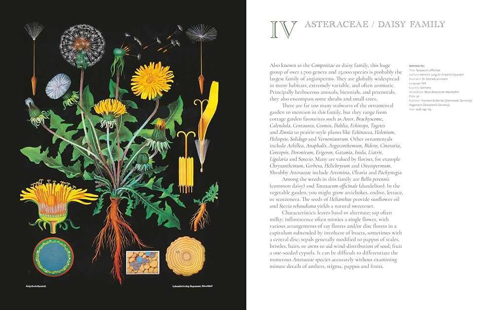 The Art of Botanical Painting: Iconic botanical wall charts
